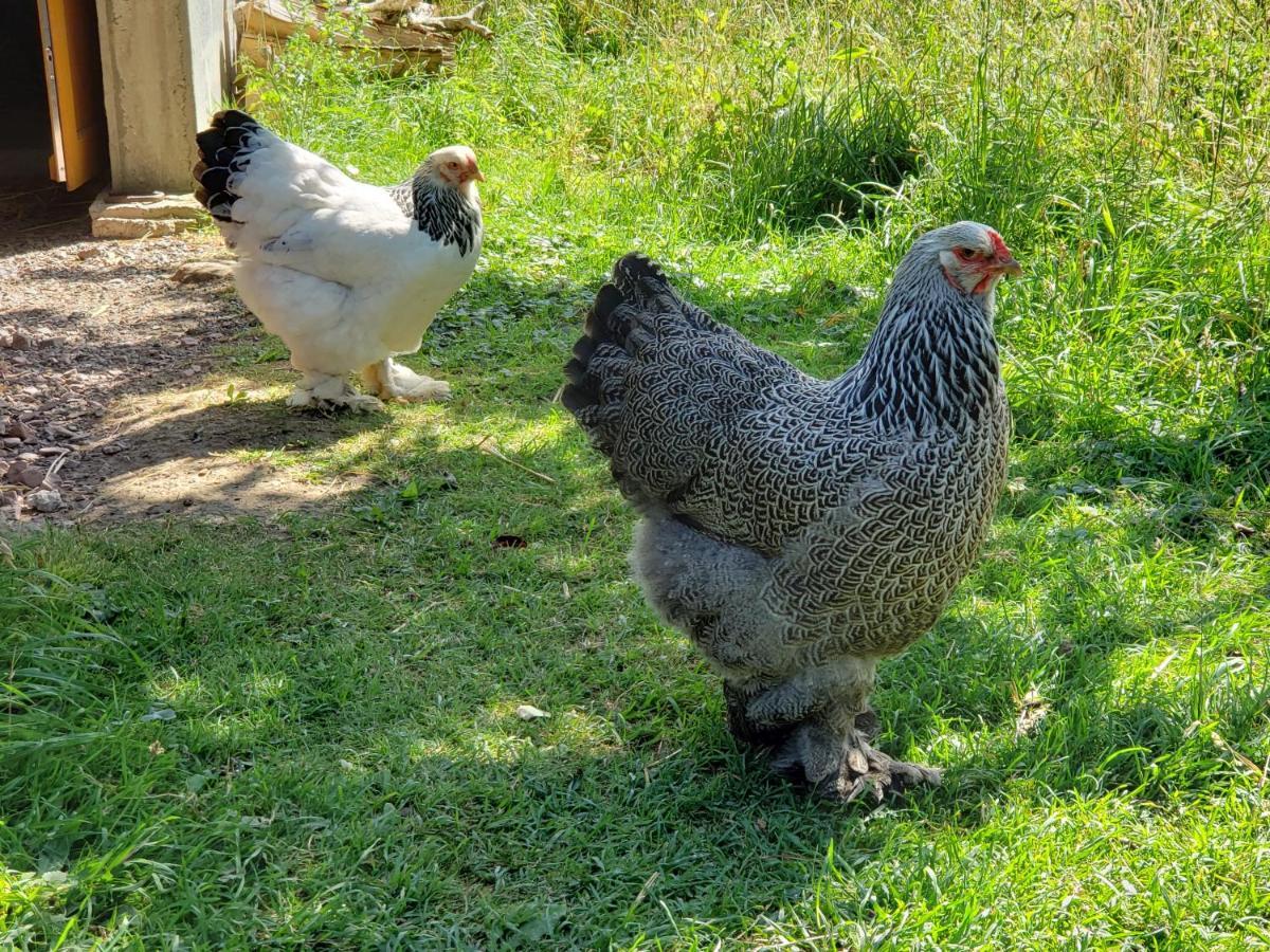 Domaine Les Chillards Holiday home